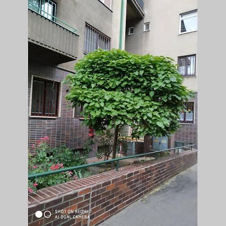 A Cosy Studio In The City Centre Братислава Экстерьер фото