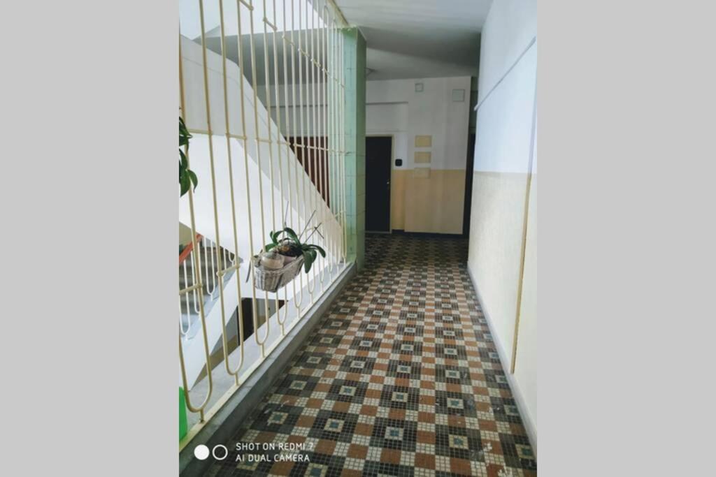 A Cosy Studio In The City Centre Братислава Экстерьер фото